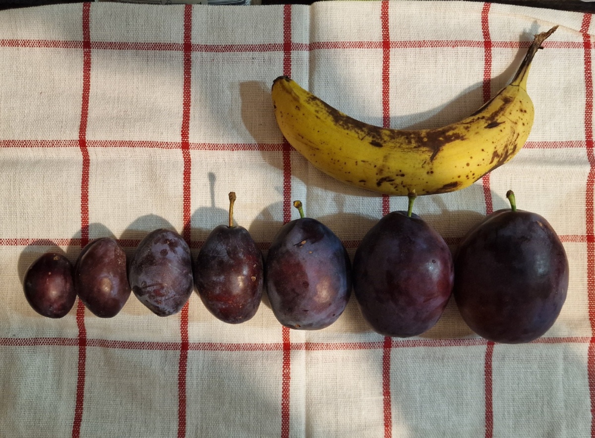 5f589854-f0c5-4428-821a-fd5e15a1c7ab