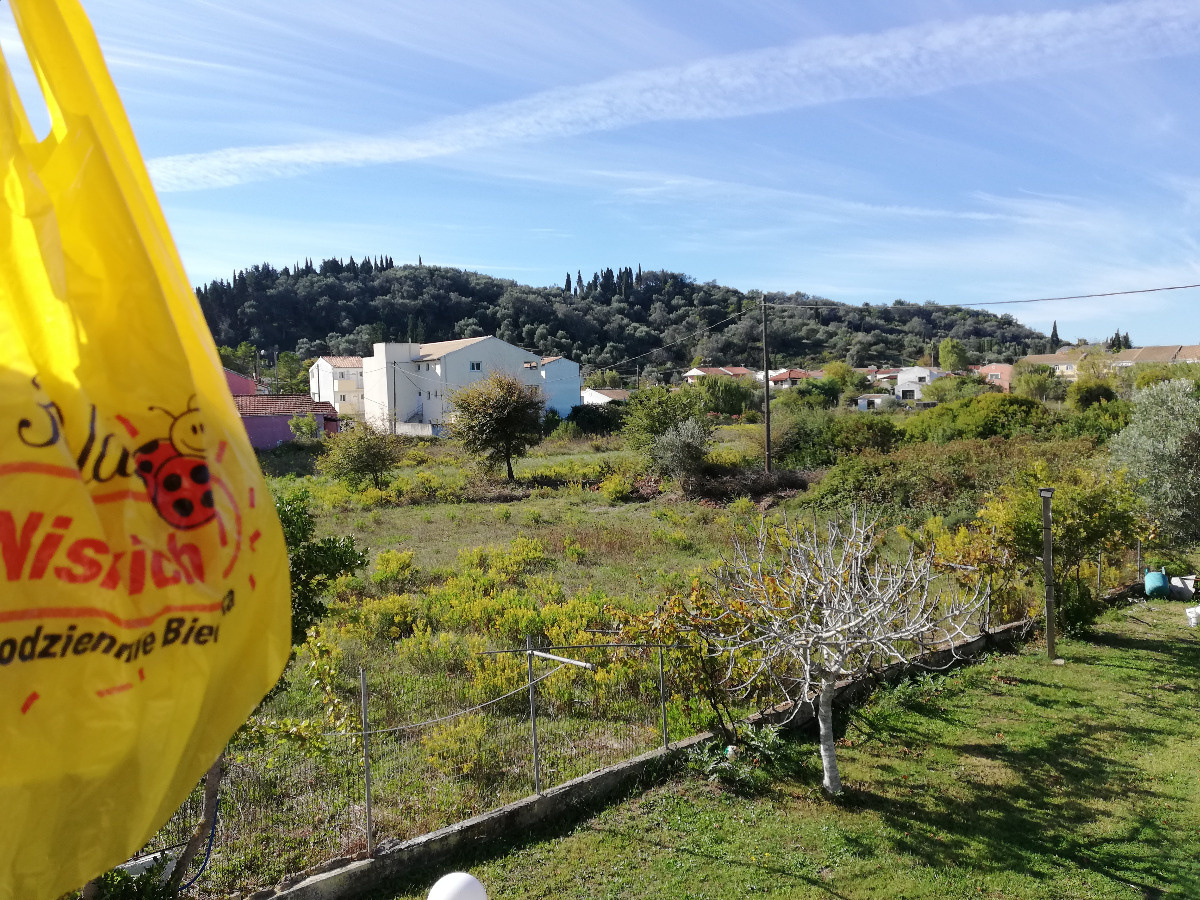 6826194c-50a9-4c71-9a56-67708de45ddc