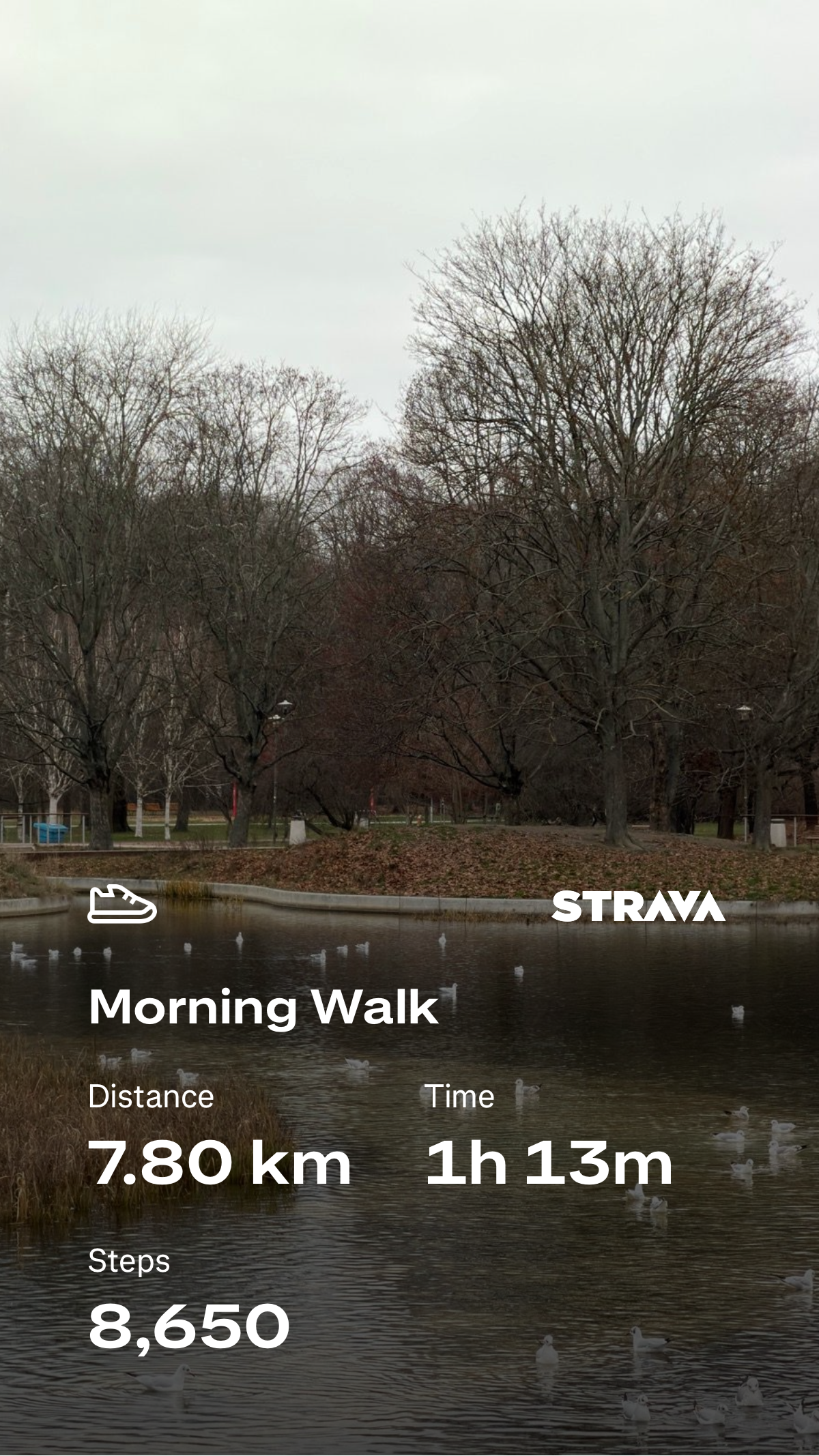 85c64543-8837-4dec-8b3d-013a2e45ee8e