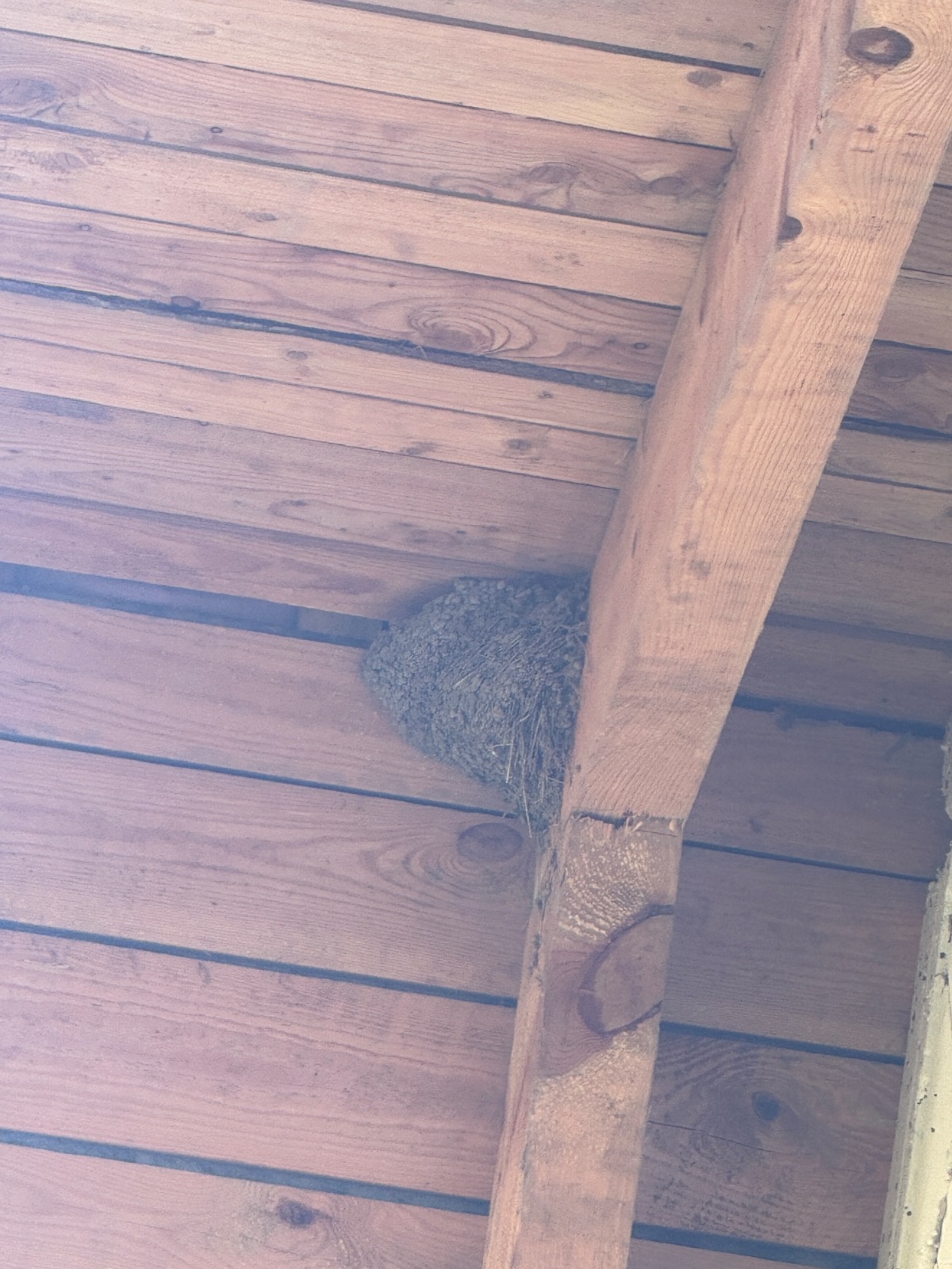 7415f195-c931-4c99-953f-2c3e8b255b2a