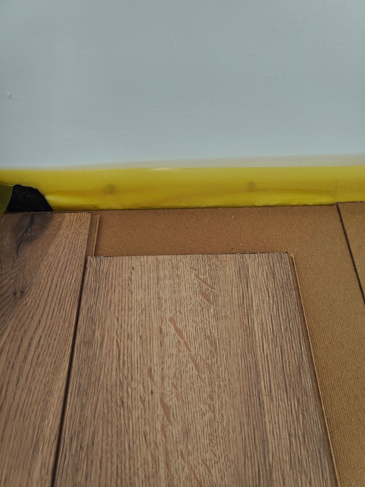 88d8fe42-a695-4210-8005-26388c24278b