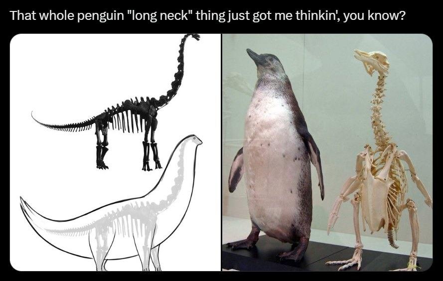 049c242d-2602-4e24-b3de-da86f71f3181