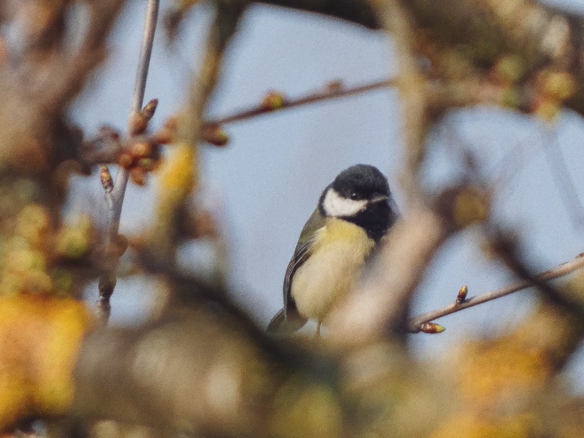 6a2aa2f1-3274-4942-991c-52bfcf0b0061