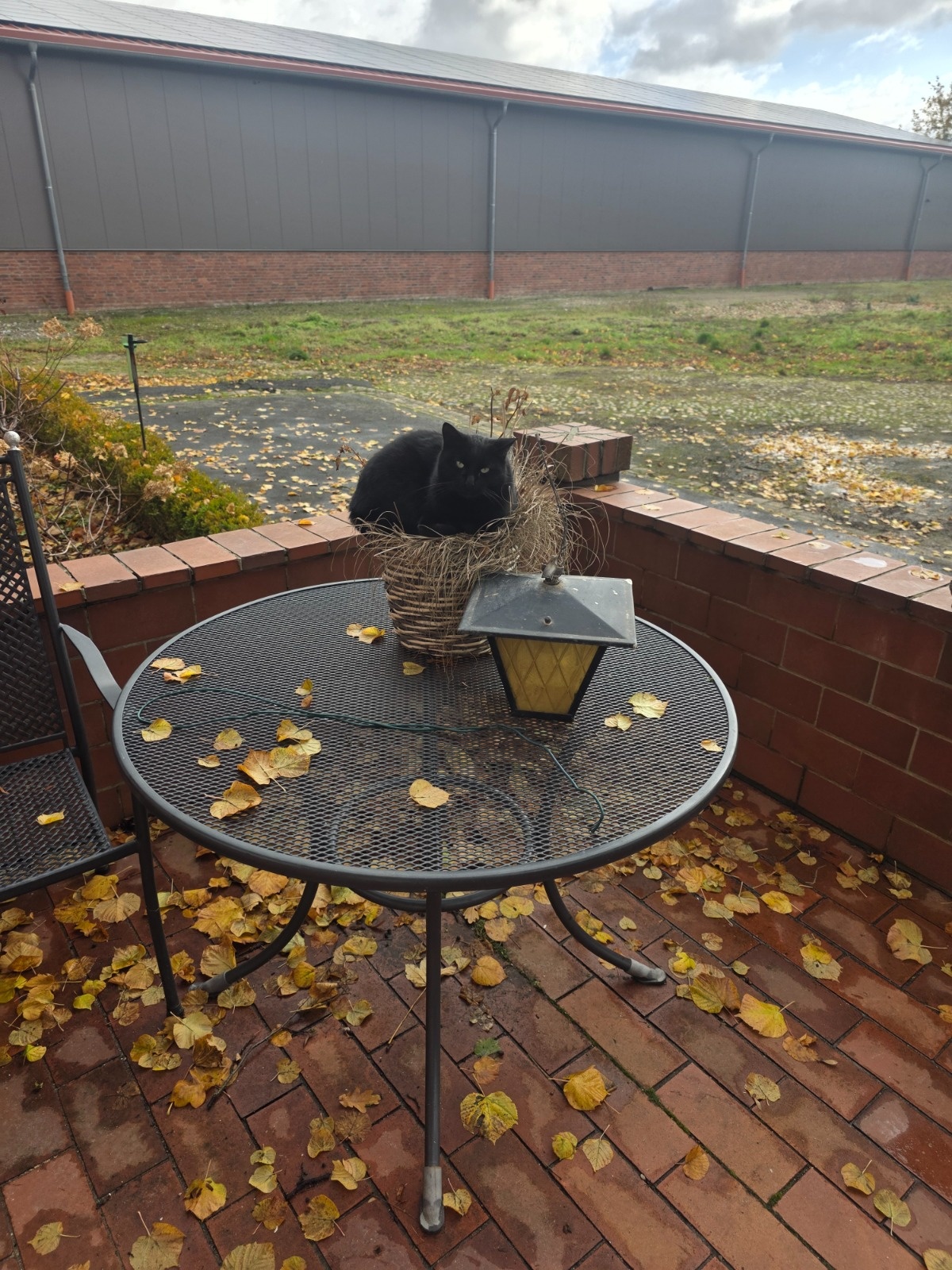 370ba6a1-08e2-4152-8ce9-002c2c3ec1ee