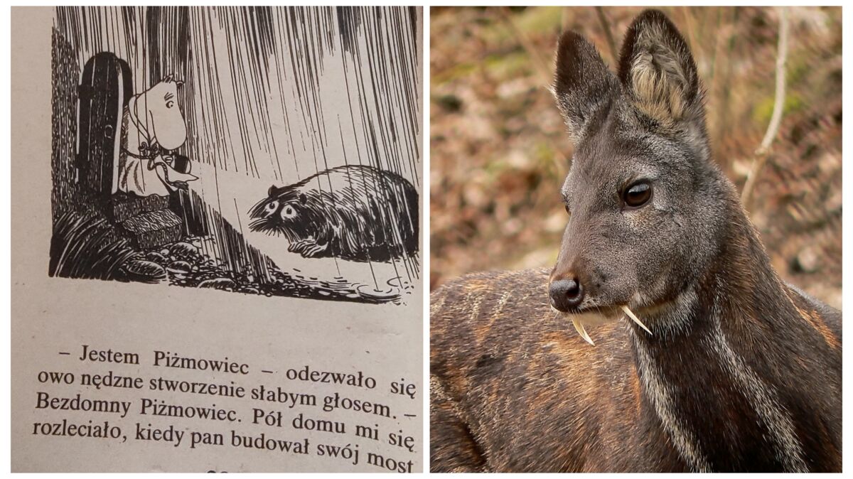 1dbbbcb3-165c-470d-a155-aa195aa19a67