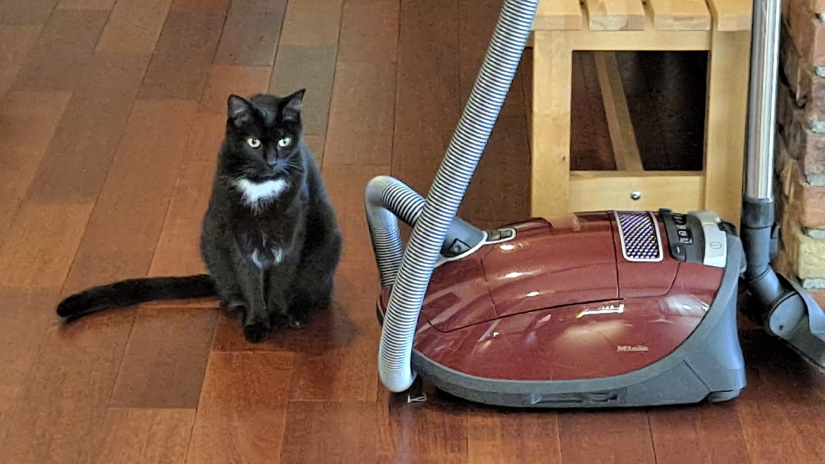 207942f8-1367-4395-97ef-5175ceba5793