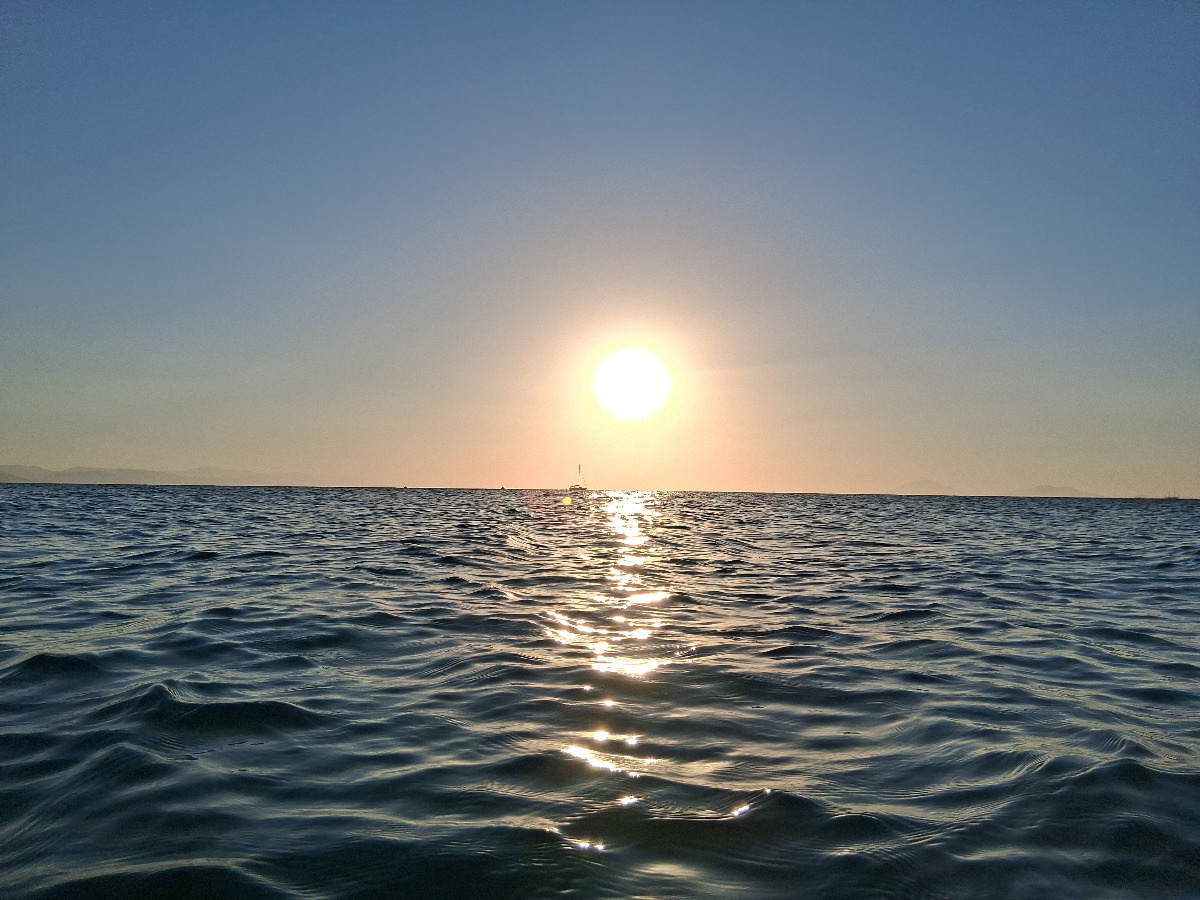 d03977c6-e73e-4957-a0fa-1c55f070b571