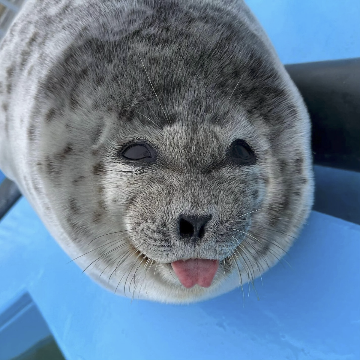 c68490bf-4bc8-44f1-be4a-23815fbd3973