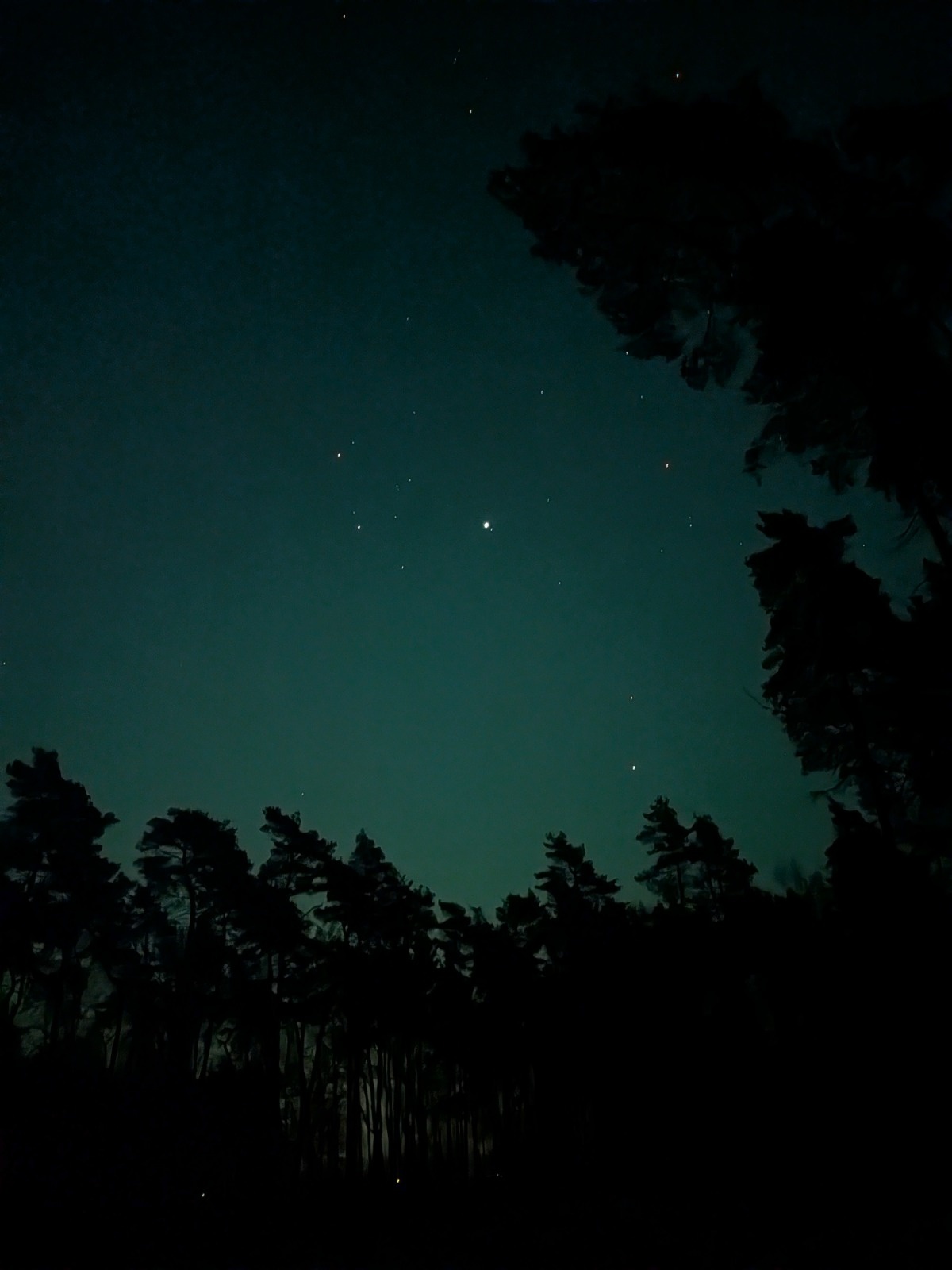 d34a3407-9e44-4525-9c06-e41009a1224a