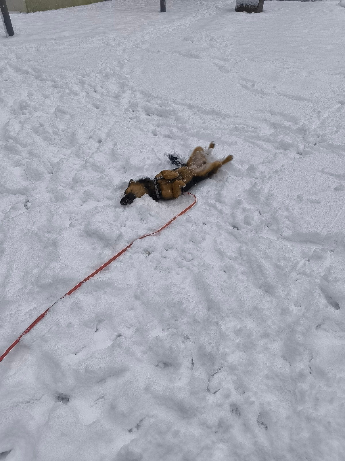 cf6b169e-cc89-470c-a482-396614e19cb7