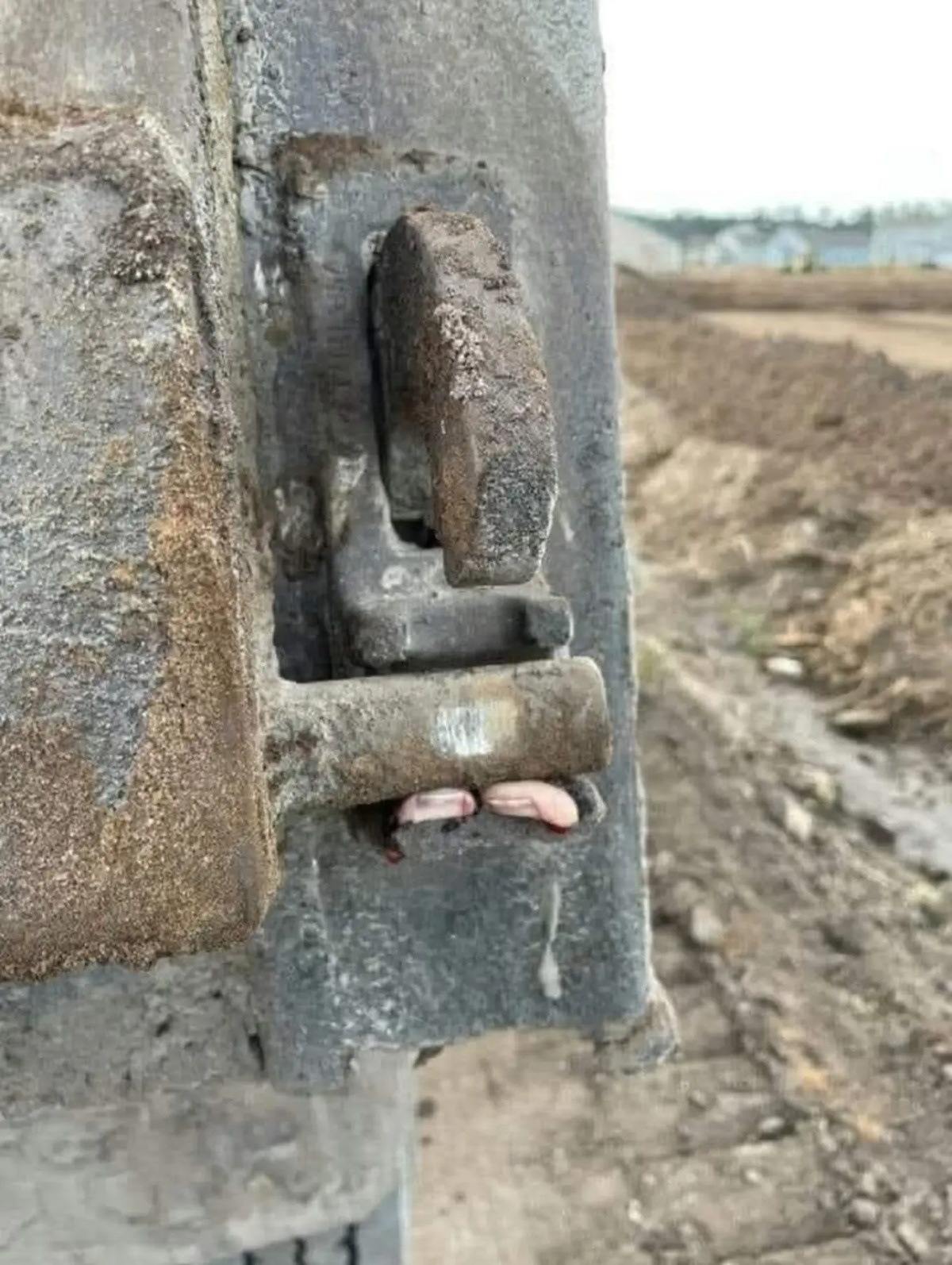 2e619a5a-b2f4-4afe-9aac-3c59d4c5b124