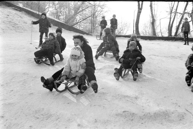 77384491-8f01-477e-ba88-d99b0aa59b35