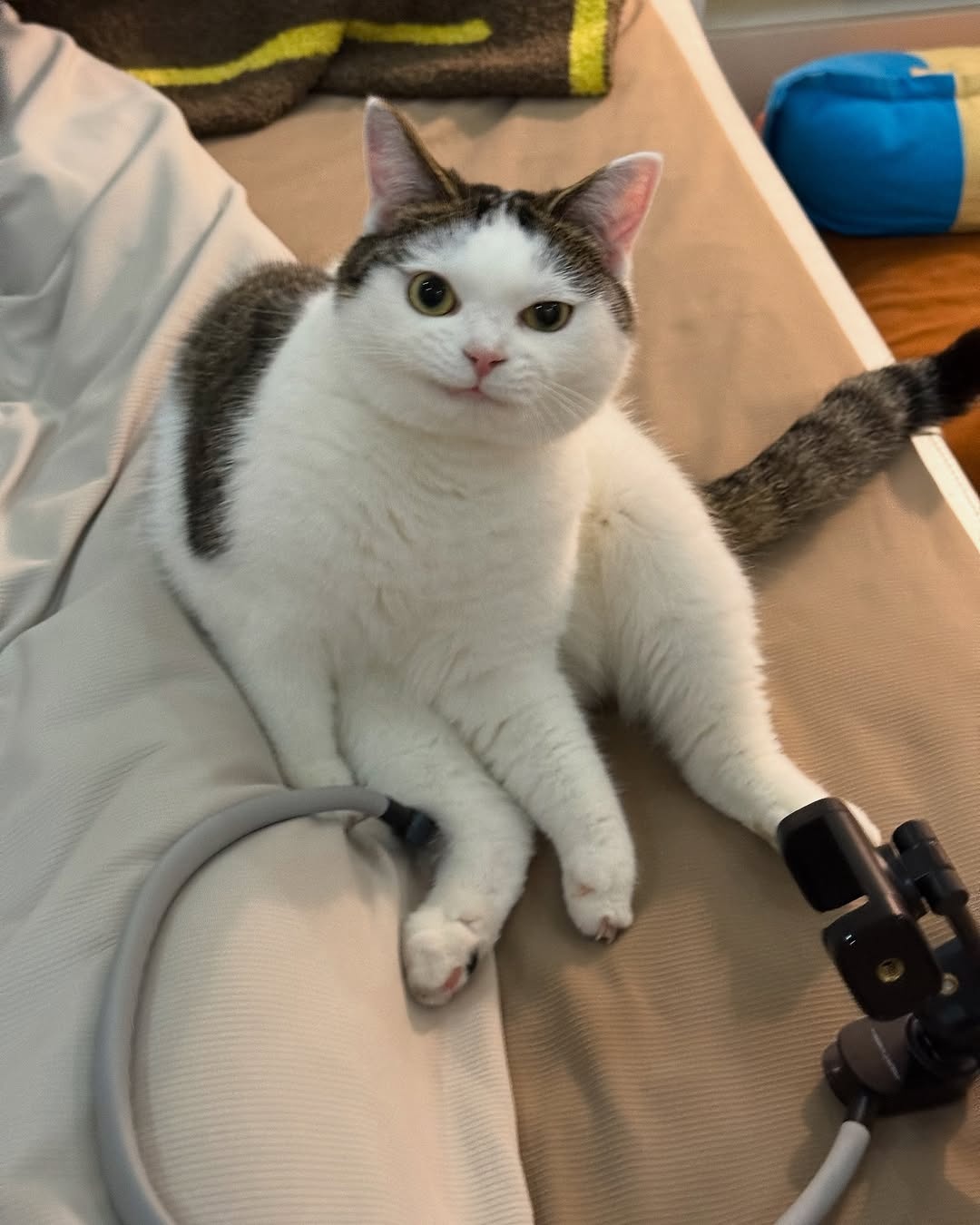 b10289b8-0821-413f-98e9-74cd42c50d6e