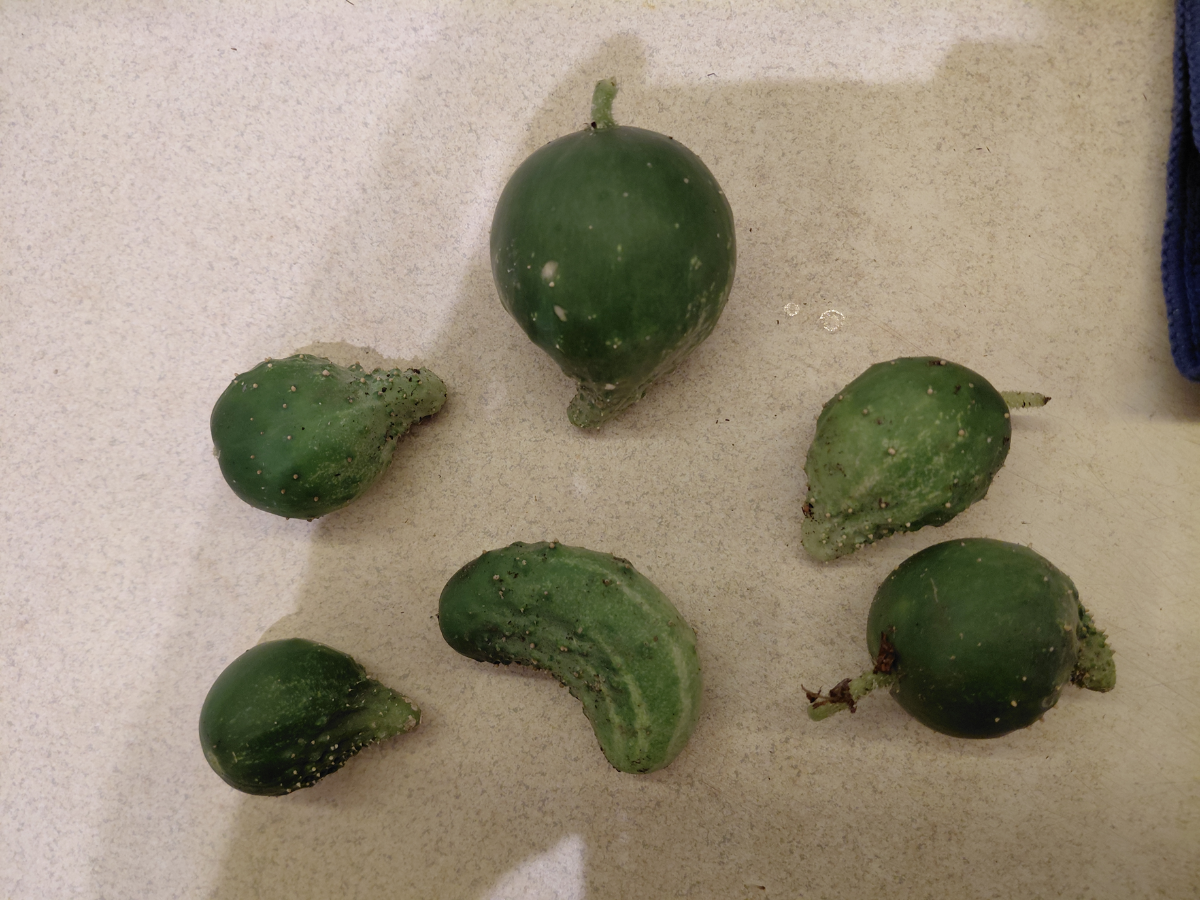 764472bd-bedd-41e6-84d1-9c17ef7d1694