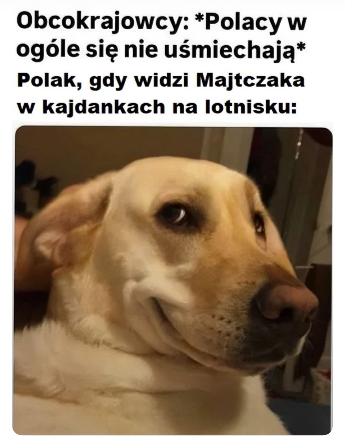 aa7b08ca-026b-4f3a-bd9f-c7da066e9116