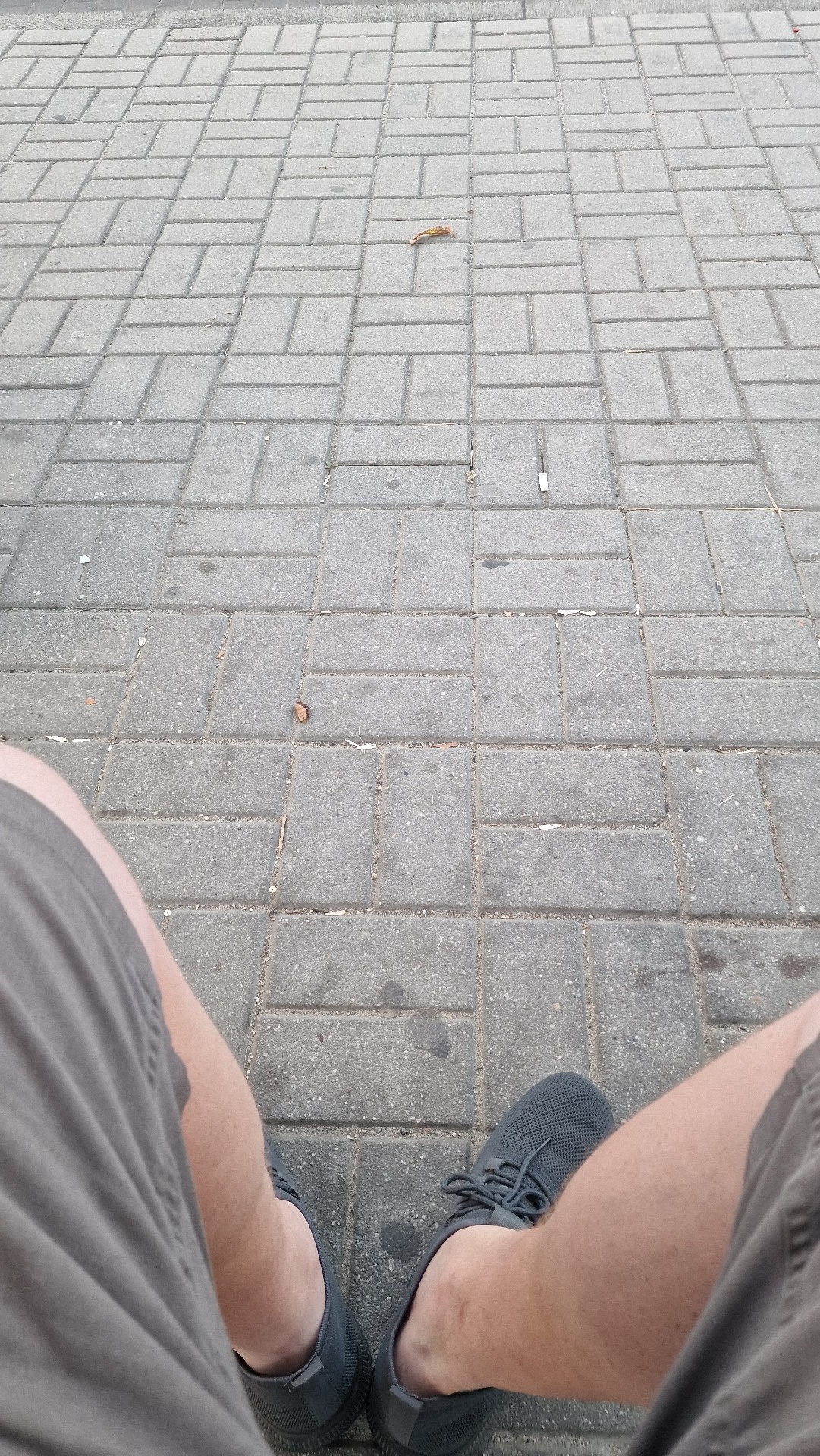 ffb33564-f1c7-41b3-aa88-1f45b154e647