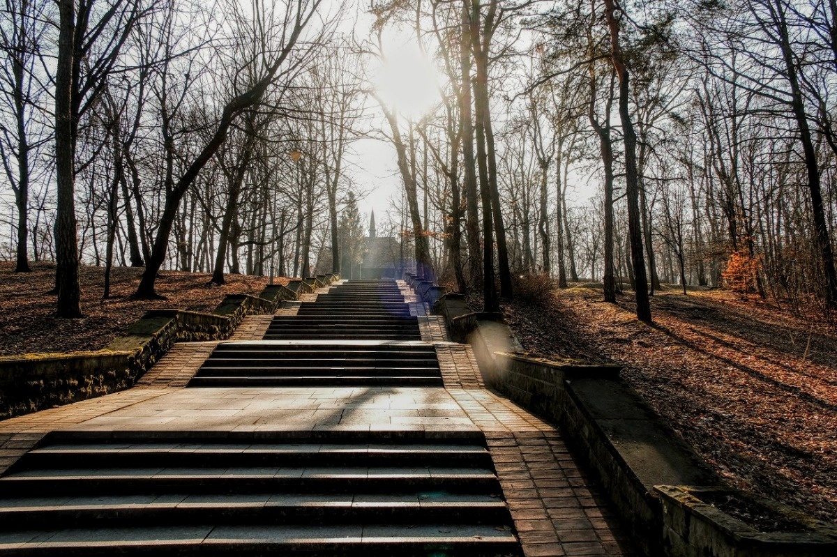 Katowice Park Kościuszki, Poranny Foto Spacer Fot. Piotr Witowski / Urokliwy Śląsk / Śląsk Jest Prze Śliczny