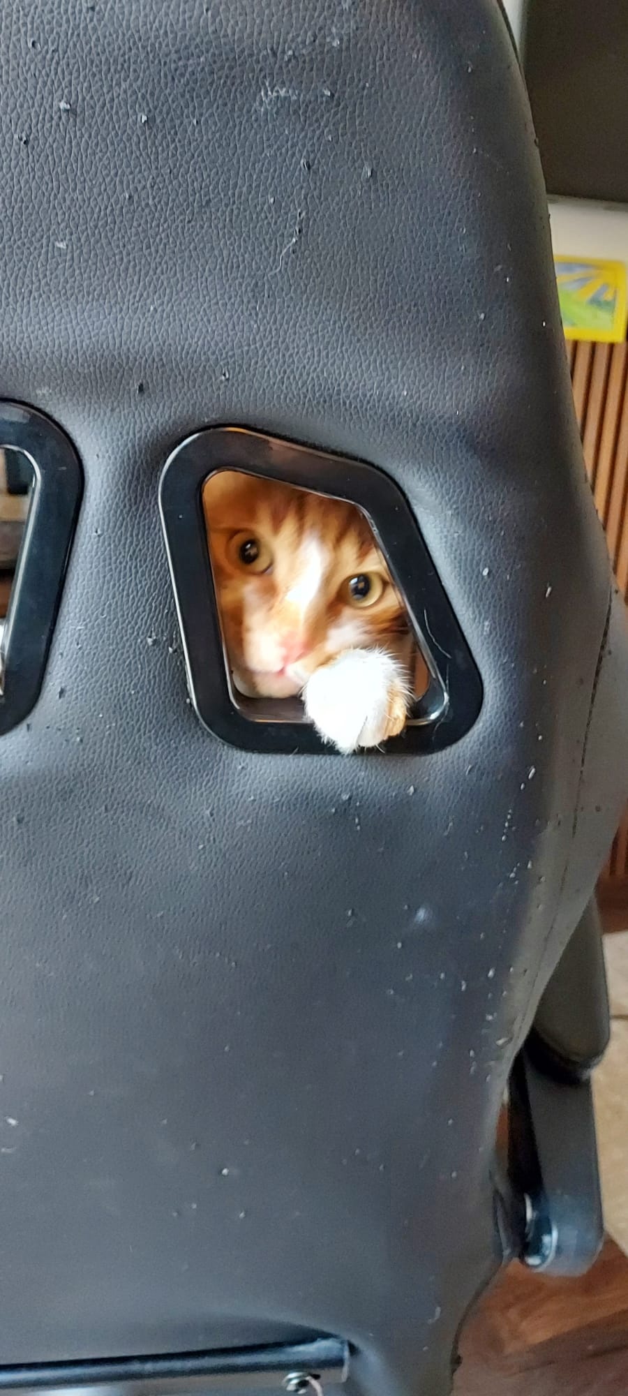 7c8adcb7-d5e5-47fa-a9f5-79f9139626d1