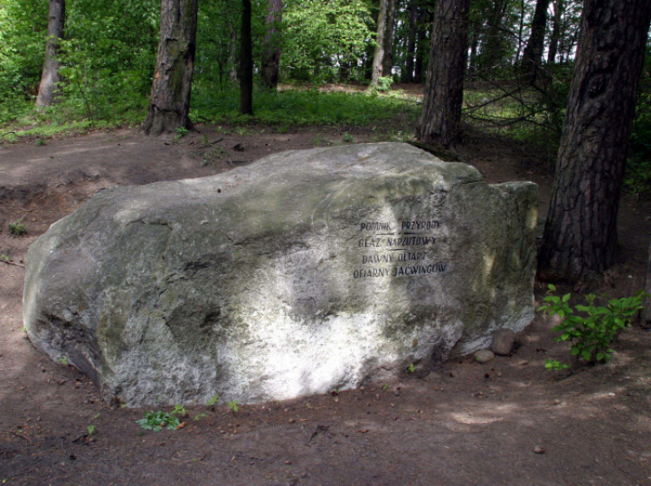 Głazy narzutowe w podaniach i w nauce; co olbrzymy przyniosły nam zza Bałtyku