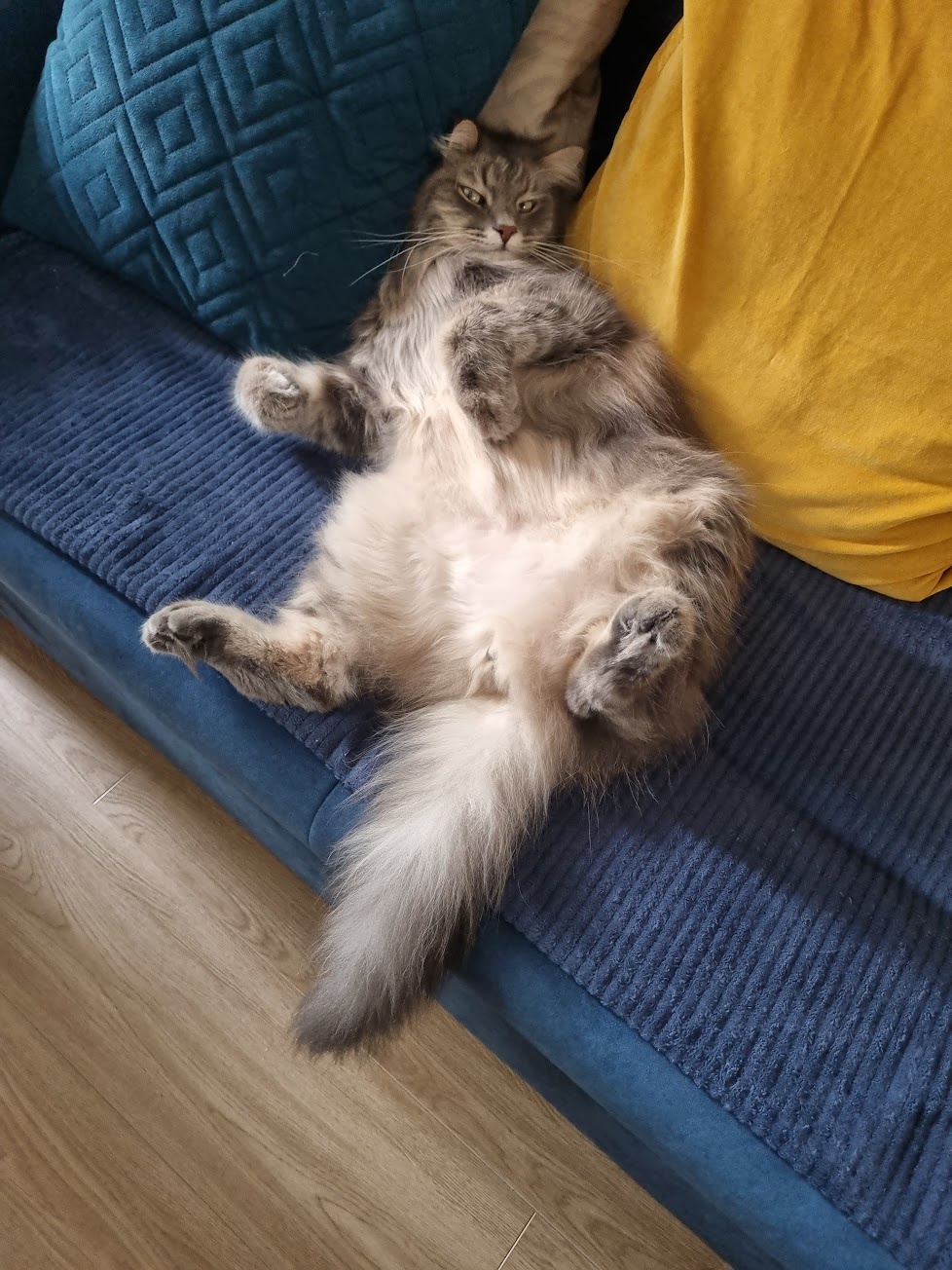 67fb27e7-7984-4ee3-b76c-0591a760389e