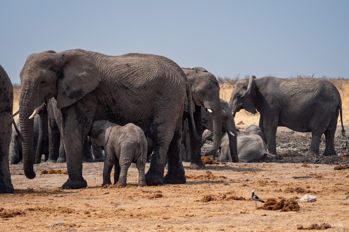 Namibia jak z filmu - gotowy plan na samodzielną podróż