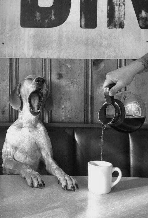 c25ba8bb-56ff-42df-9586-60568461b4e9