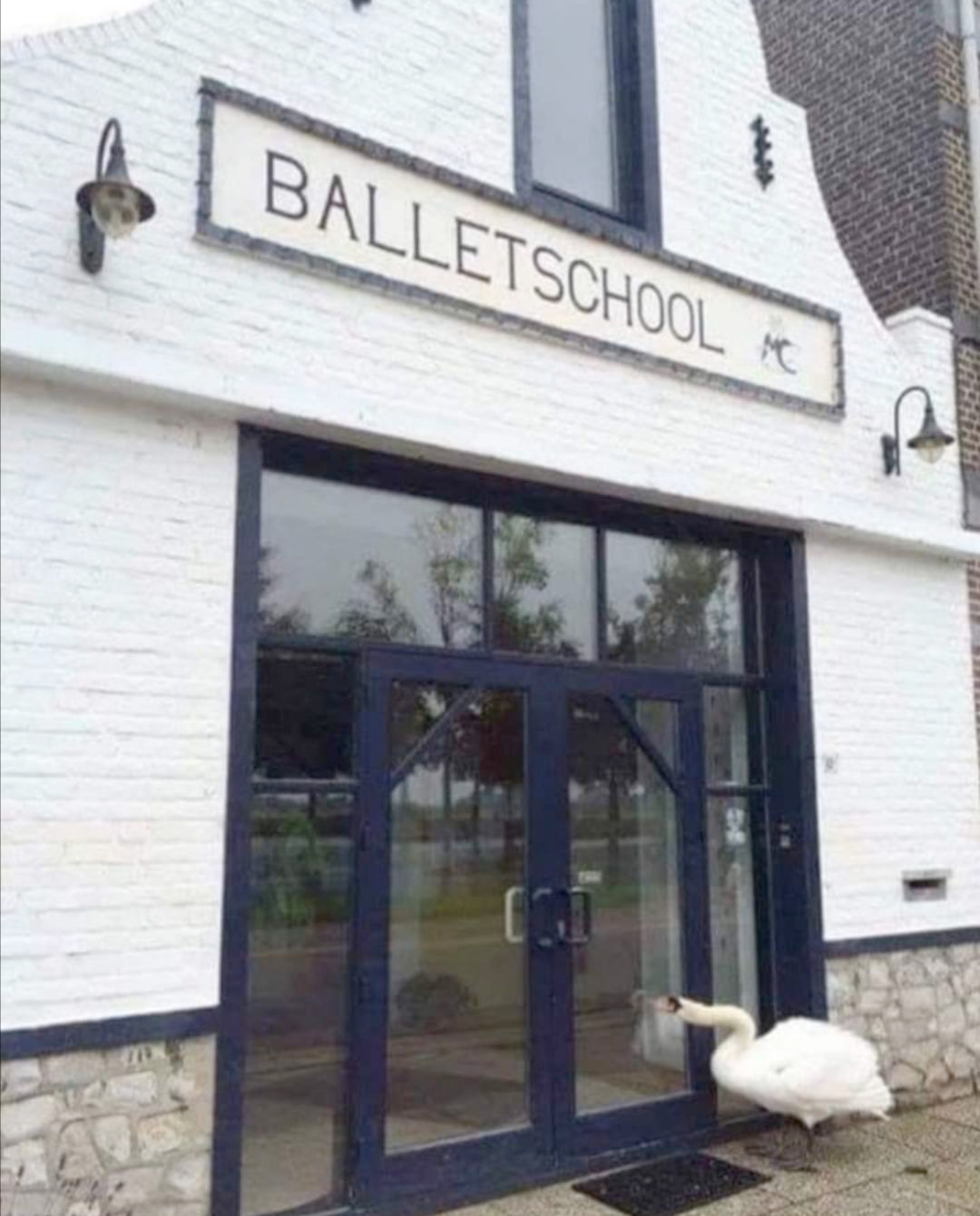 93a0e778-d9a4-4117-b83a-7ee7cd411956