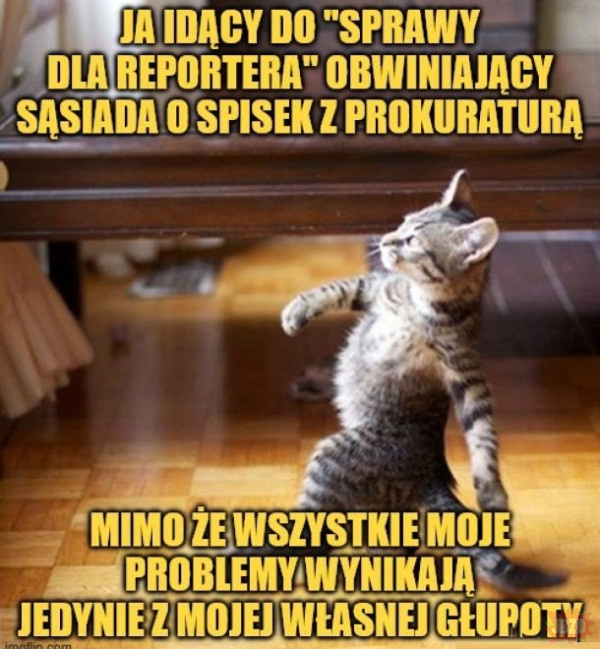 0e1dda76-cca1-418f-abde-85854cb4015b