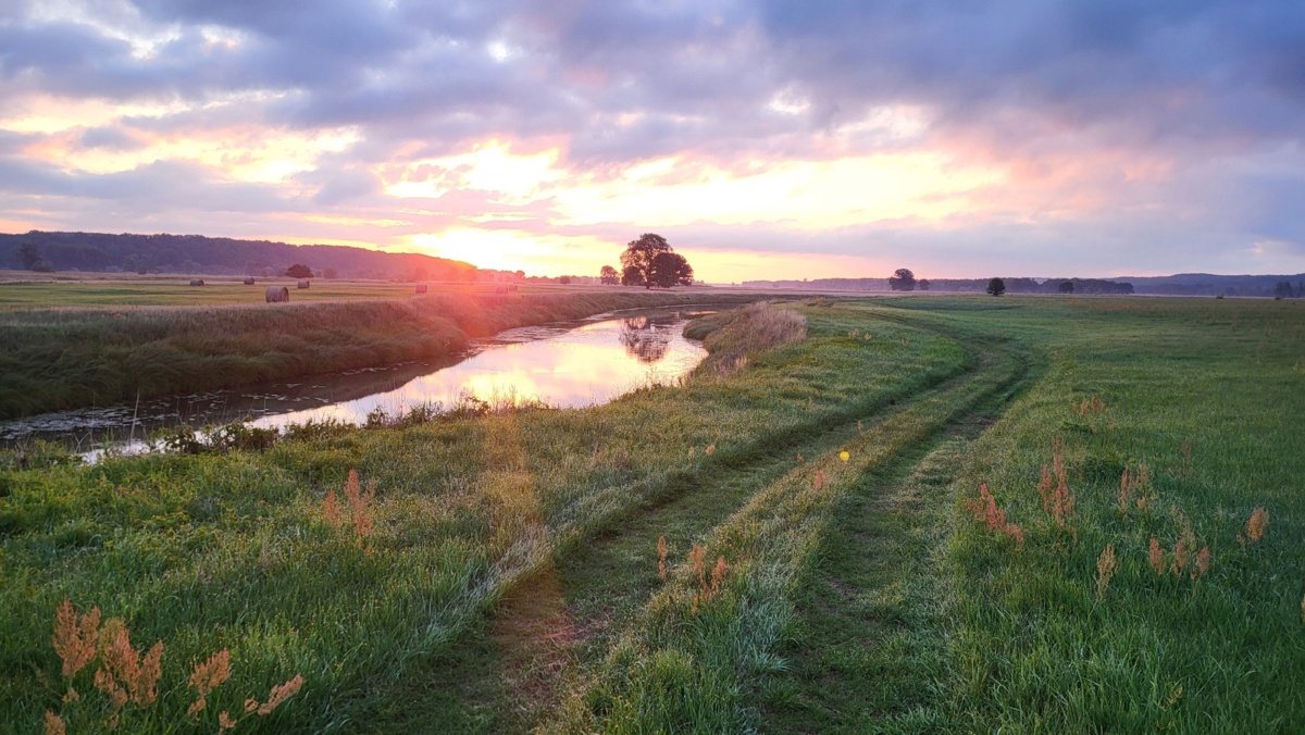 f1b174ce-46f5-4e71-9d3a-ae1ae4c83d0f