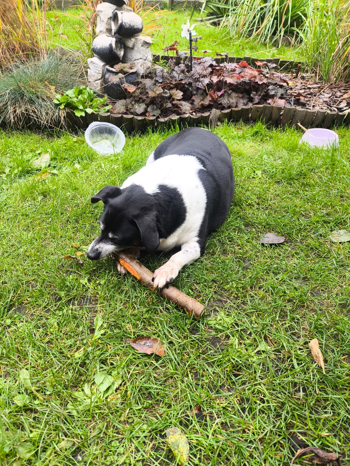 48f401c9-bc94-4a90-8a6e-692367fca78d