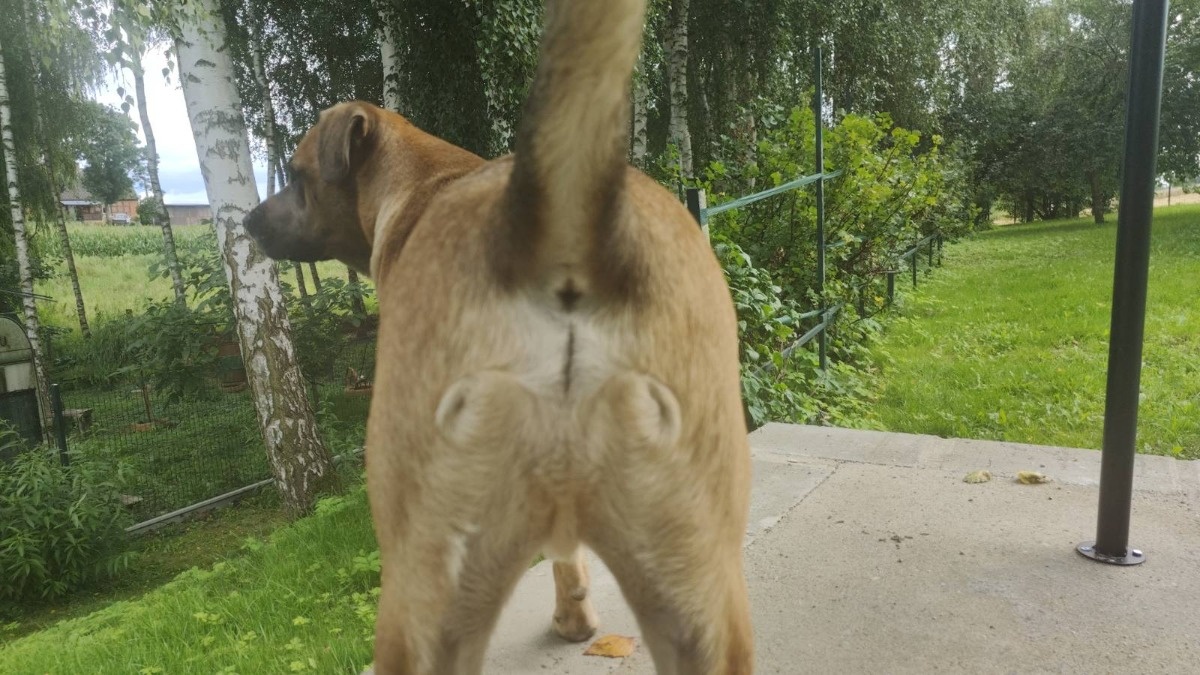 b758a0be-466b-4c57-a9e2-05f03a6d1b78