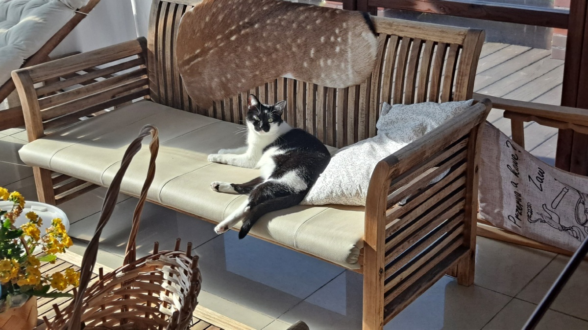 373a8c94-ab79-4958-8279-33ff2fa285d8