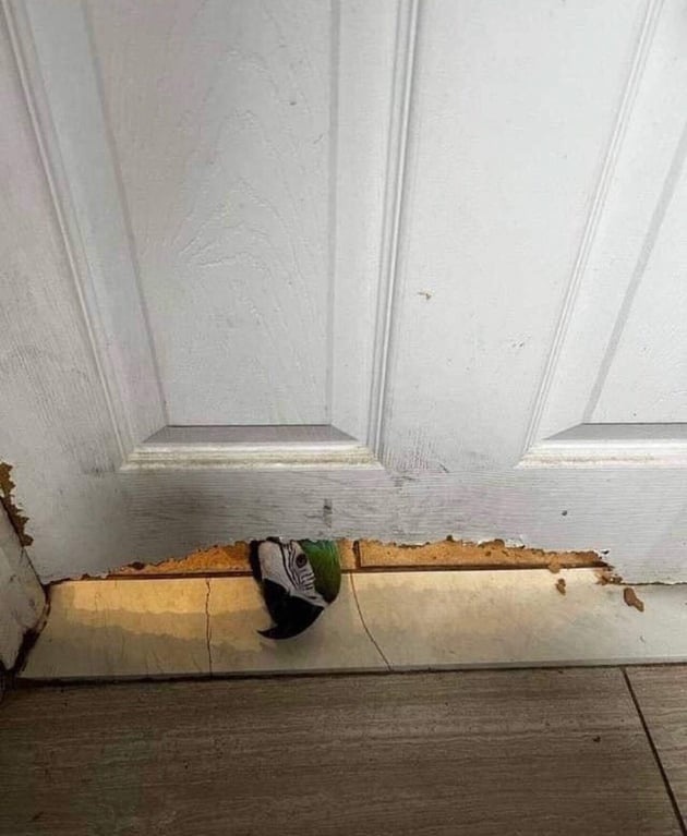 aed18cc7-16c9-4abb-adab-d9748c669e0a