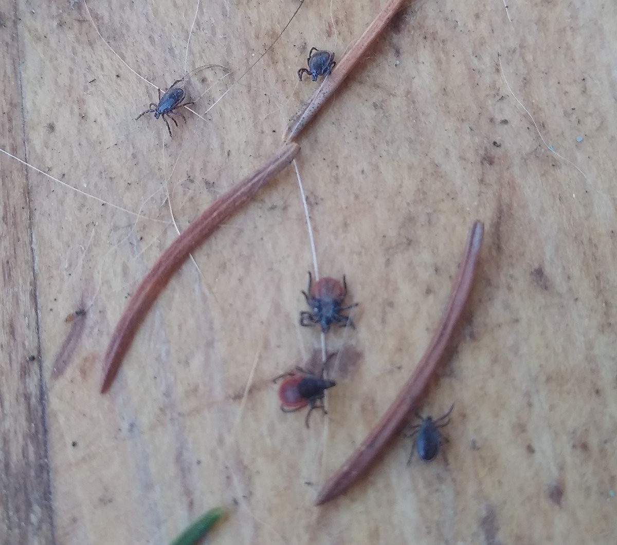 2bf56ff0-047e-40c9-b599-f6a8ac56628f