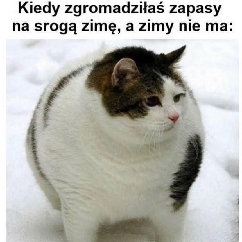 d297bf22-5a25-41eb-ad2b-e0c2e9a12bef