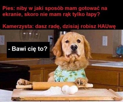 d6643351-6fb0-48f7-91ba-d4d256446d9e