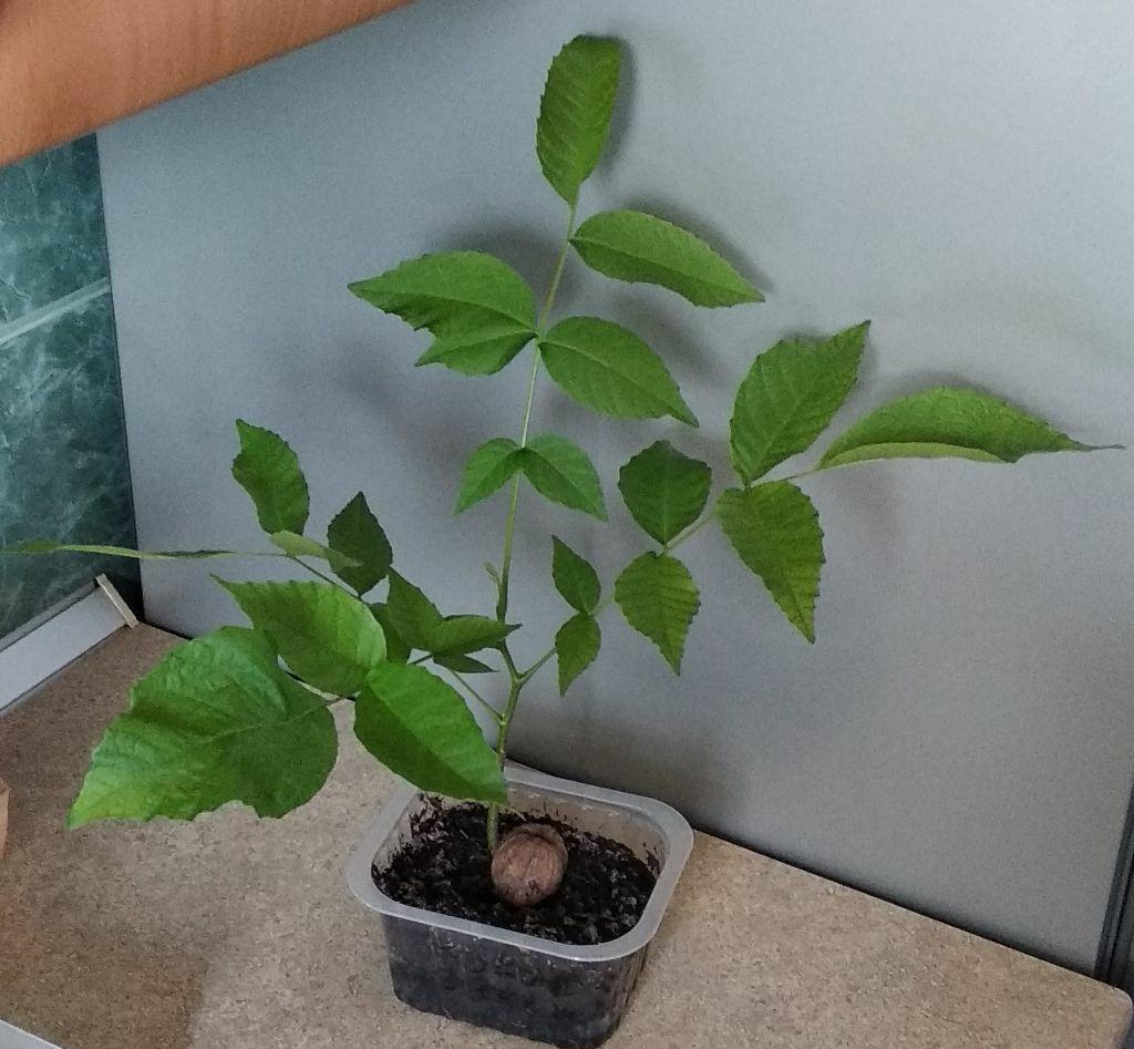 4f13b16e-940e-49db-874b-68568019594c