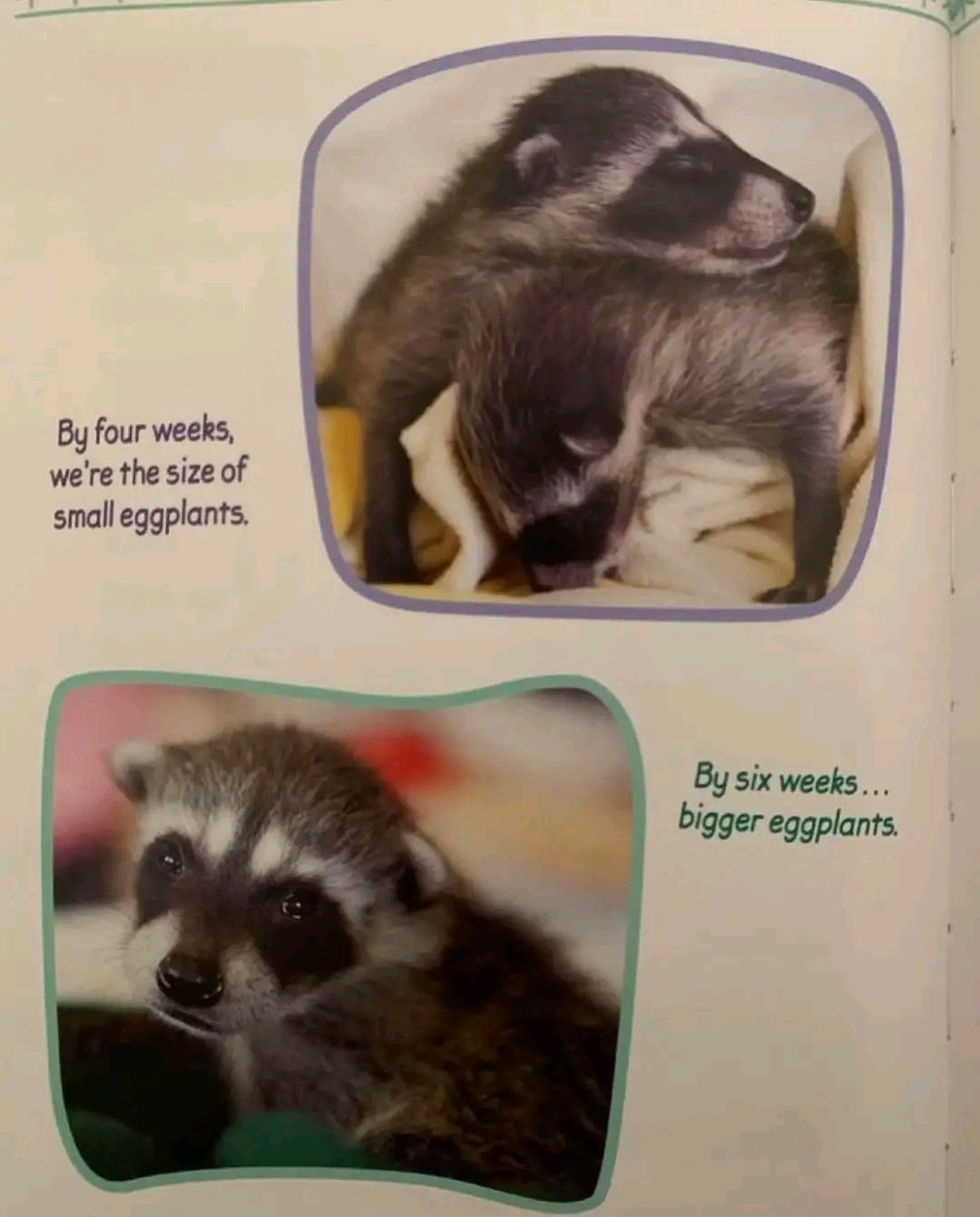 999f99b8-ab9c-4403-aac3-6c3e3cd8e568