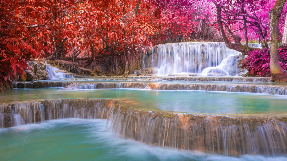 056c25af-fc20-4d16-adf8-6c5a029e047c