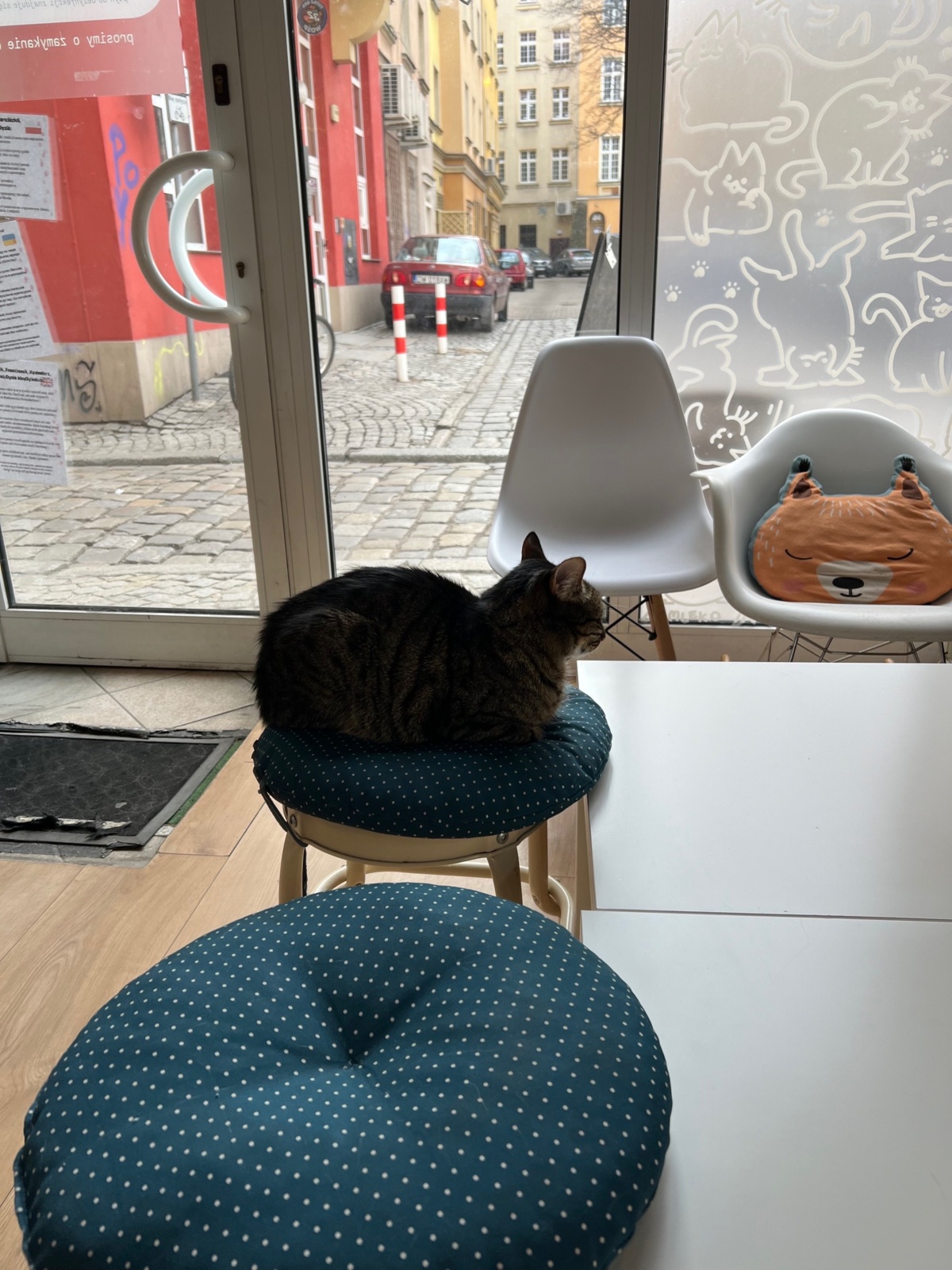 f95c239a-5d37-414a-87ad-23c636581c56