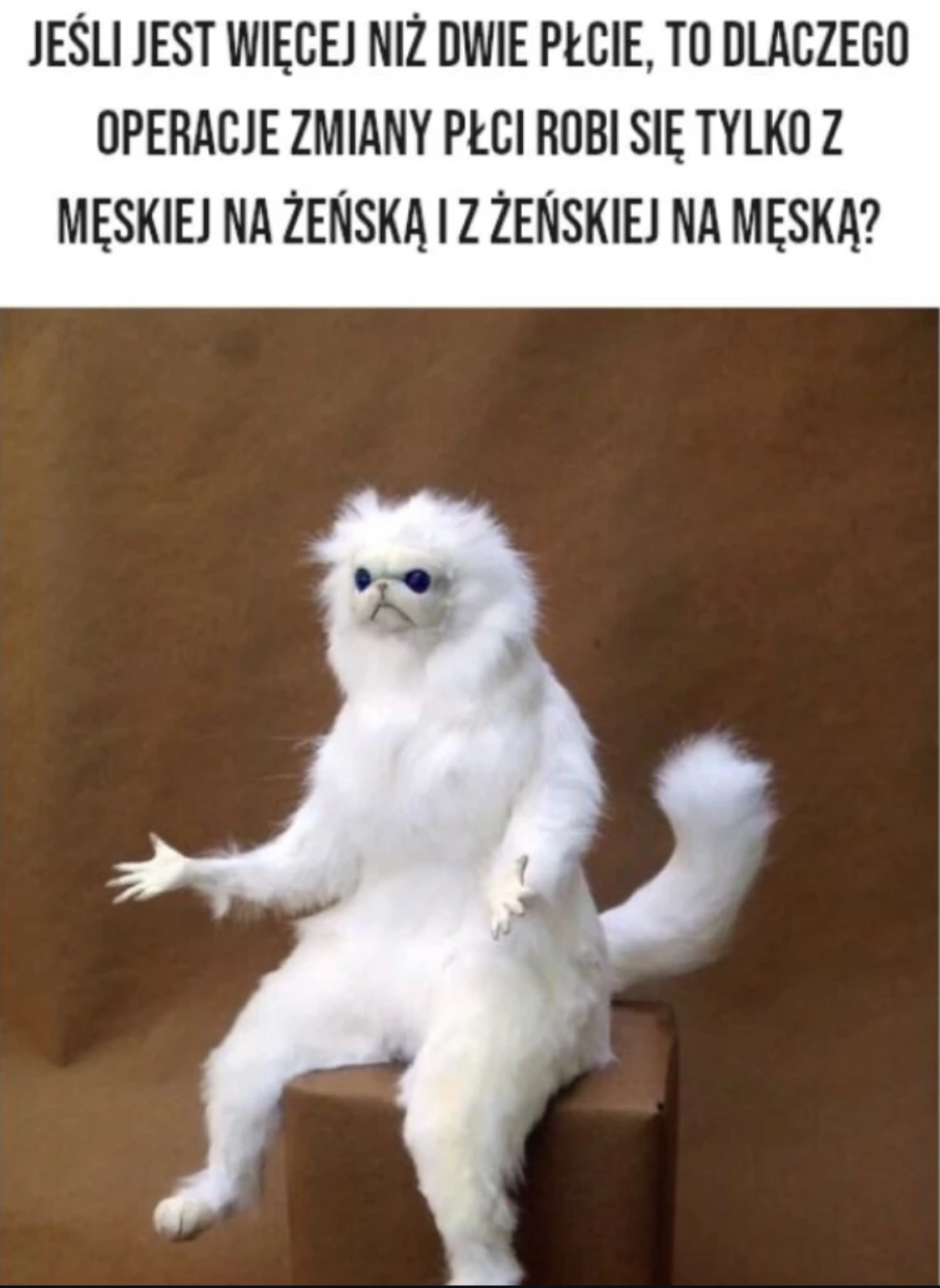 44841df8-628e-4055-8698-3070a068b55e