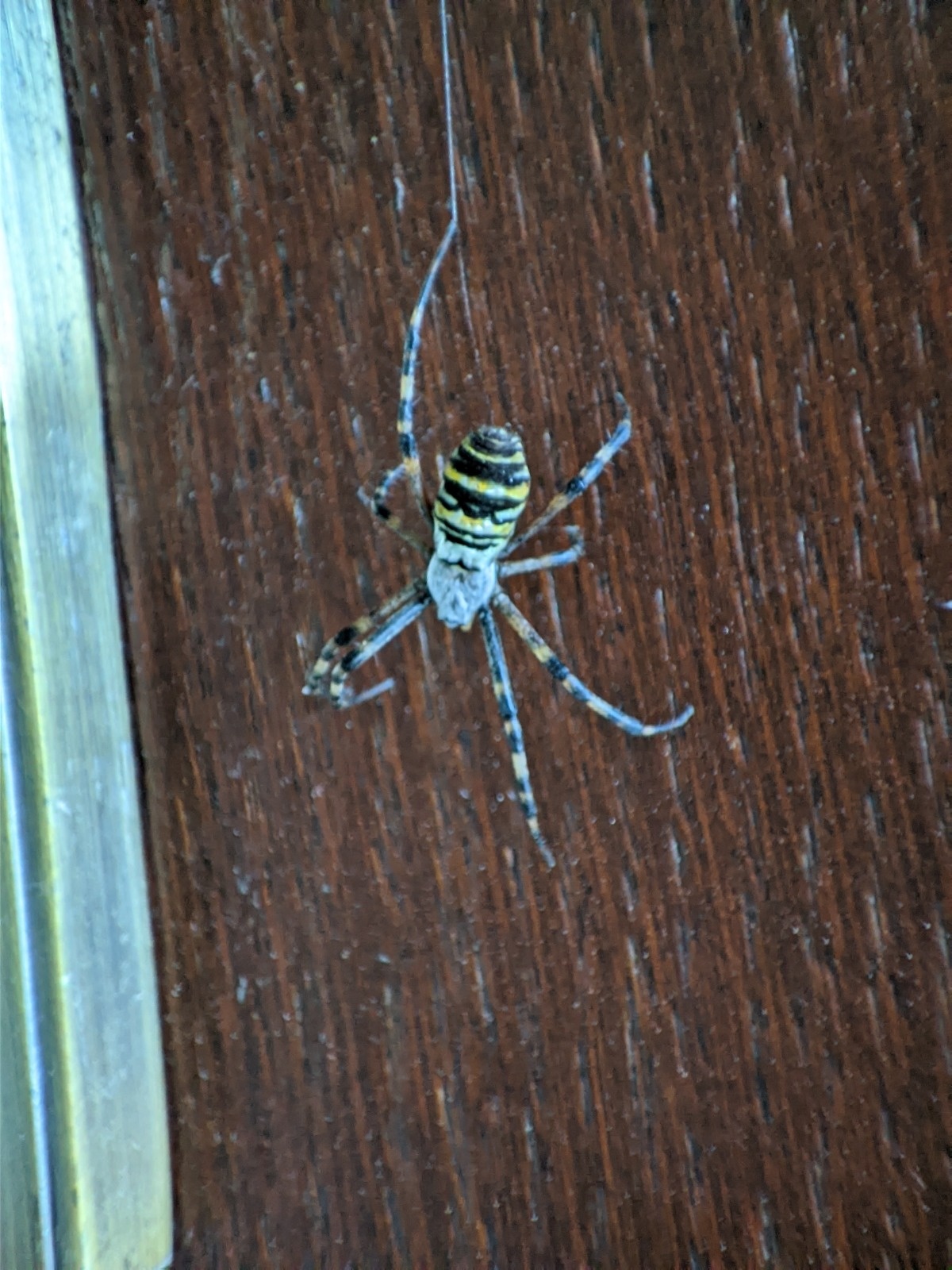 96ac7028-3bb9-4878-a0e3-eb54b5bdb7a7