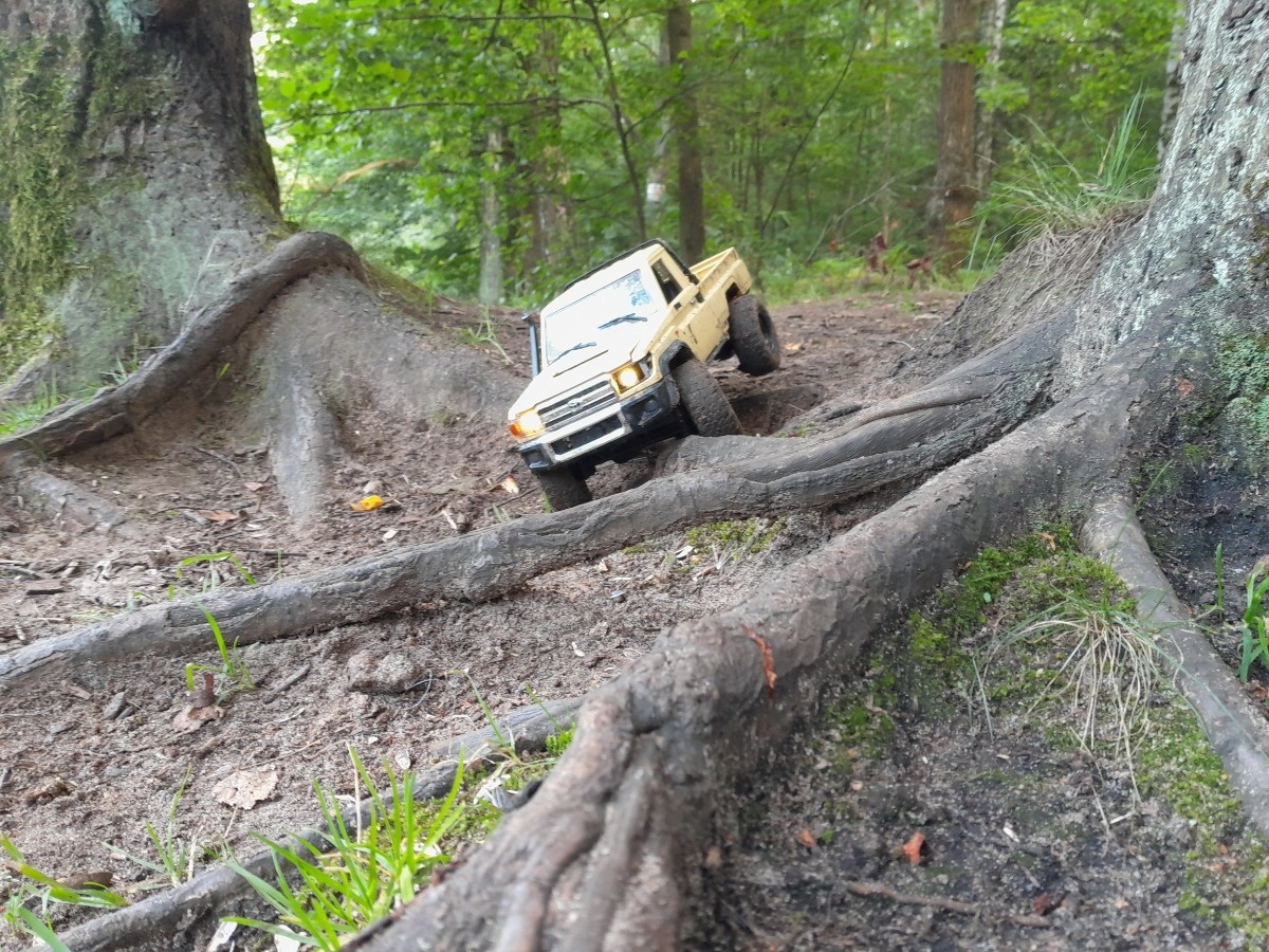 028140b1-3148-43ae-997d-127c6cac38d6