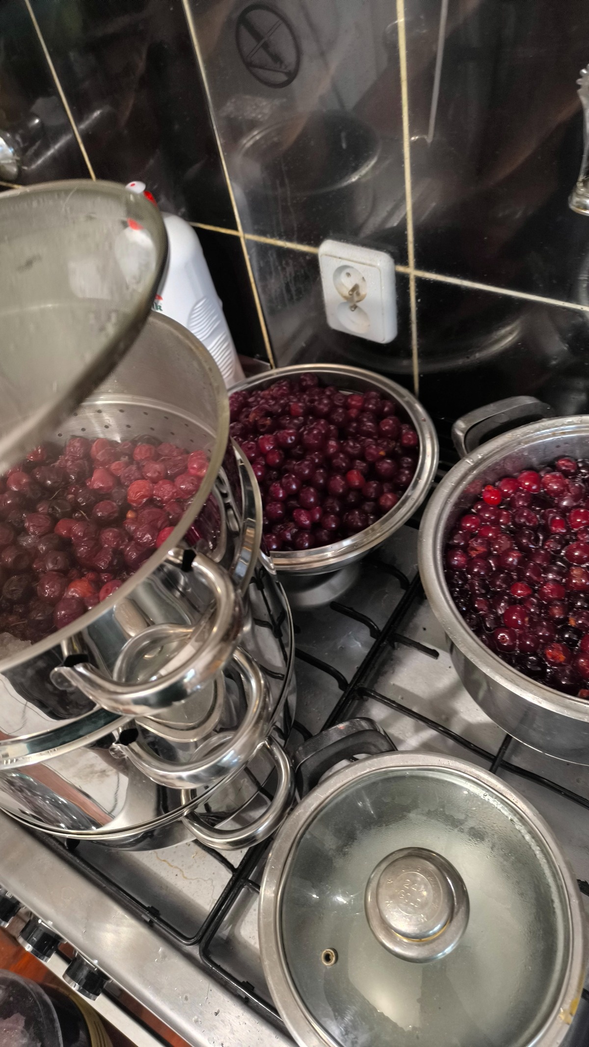 91169a22-3c62-4d68-978e-32faa9420789