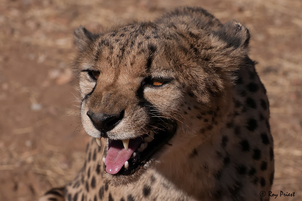 1e2a8566-5719-4678-9463-b739a8a834ba