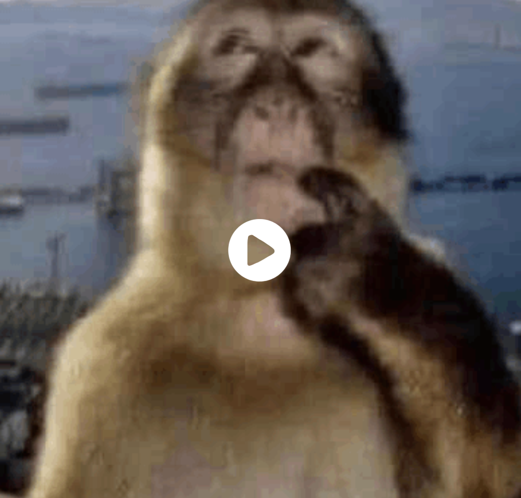 69c8160c-b947-4b36-80fd-c12aafb17afb