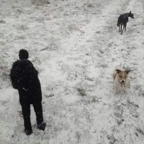 3341ebe4-3bed-4156-aeda-112655de3e15