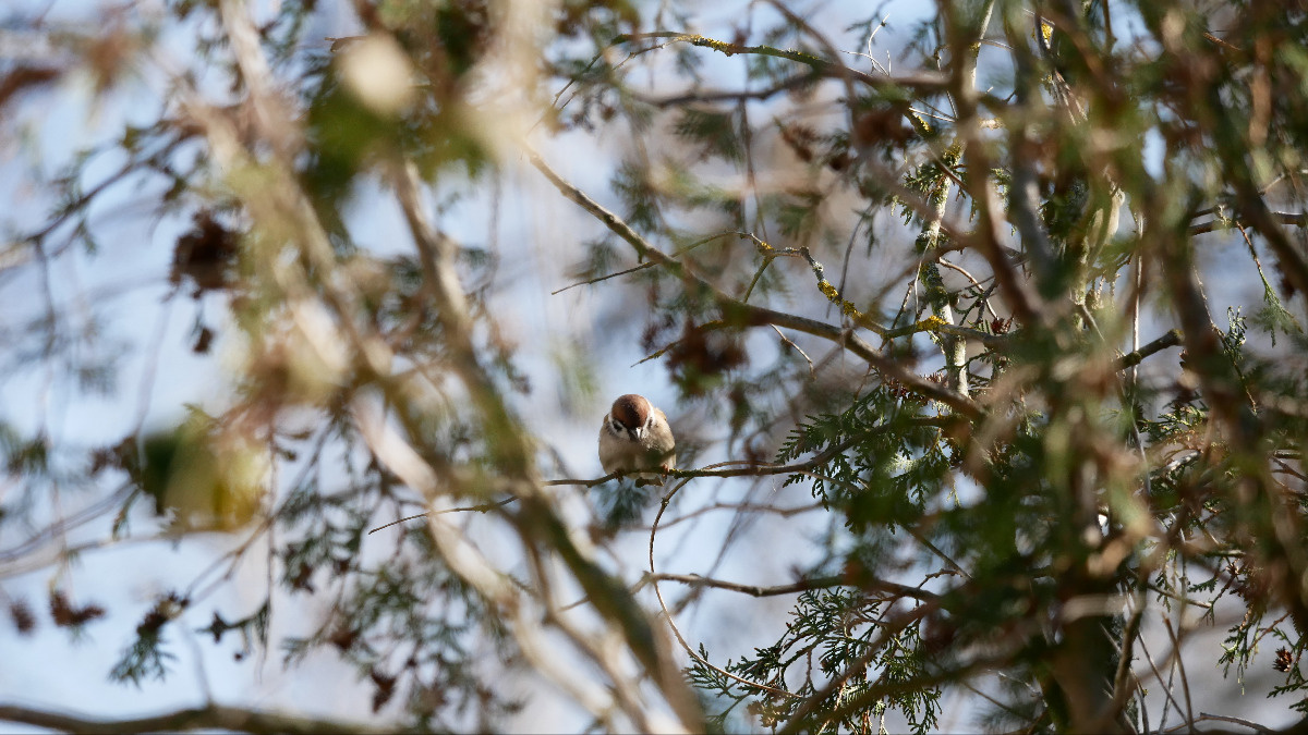 862db8d6-05a5-4b46-891d-bc752eb8d82d