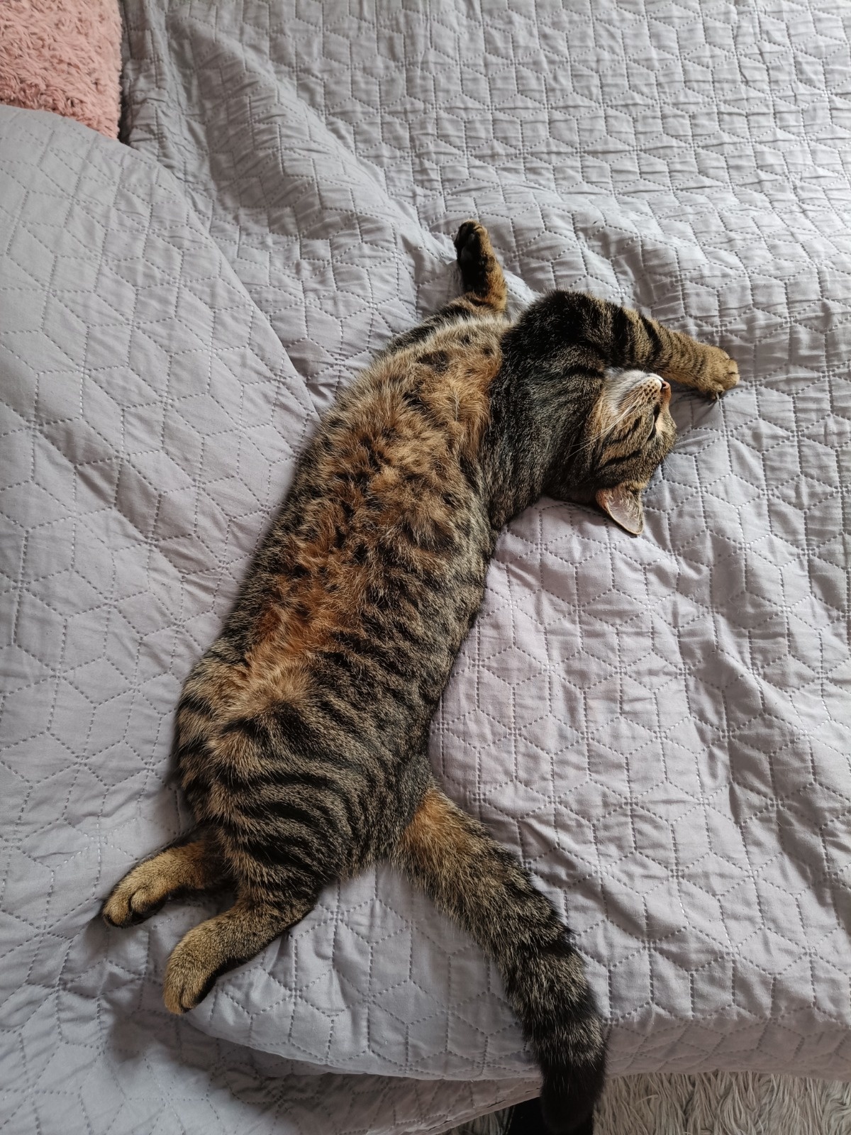 7c05406d-7913-490e-b963-e6799e8a4b31