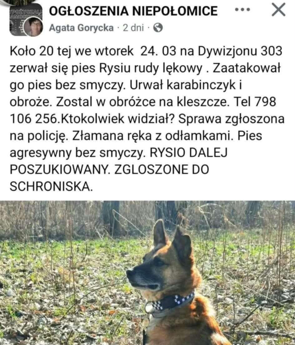 f42f2d20-ff88-423b-b5f6-f36c1e737fb9